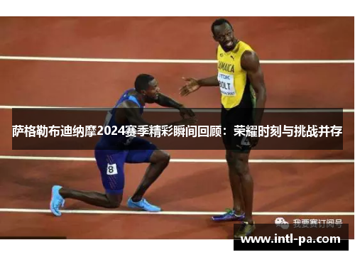 萨格勒布迪纳摩2024赛季精彩瞬间回顾：荣耀时刻与挑战并存