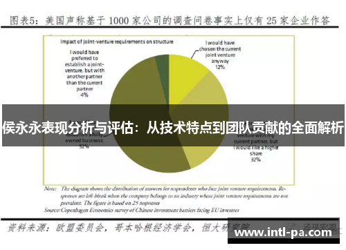 侯永永表现分析与评估：从技术特点到团队贡献的全面解析