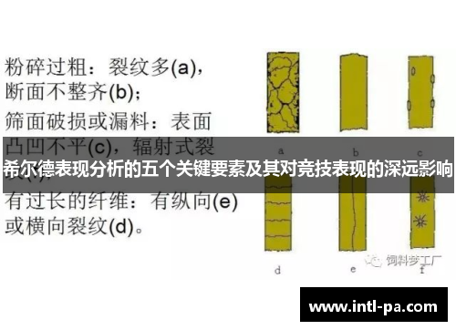 希尔德表现分析的五个关键要素及其对竞技表现的深远影响