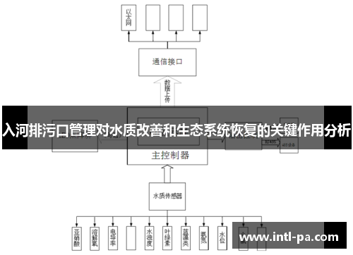 入河排污口管理对水质改善和生态系统恢复的关键作用分析