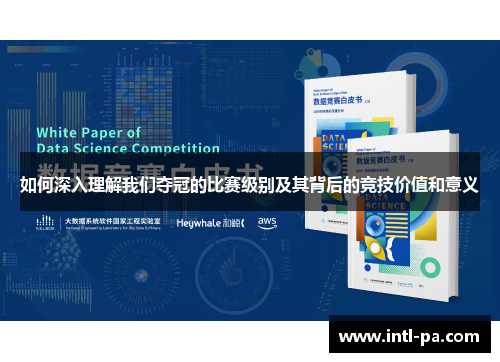 如何深入理解我们夺冠的比赛级别及其背后的竞技价值和意义