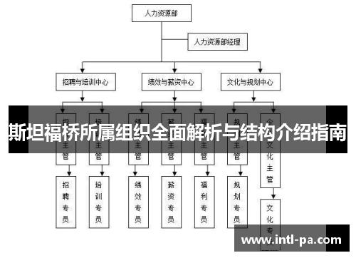 斯坦福桥所属组织全面解析与结构介绍指南