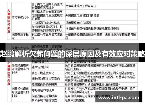 赵鹏解析欠薪问题的深层原因及有效应对策略