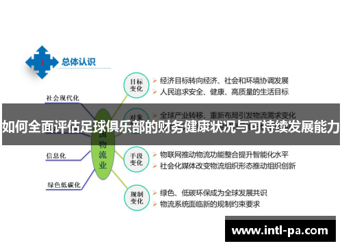 如何全面评估足球俱乐部的财务健康状况与可持续发展能力