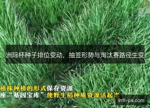 洲际杯种子排位变动，抽签形势与淘汰赛路径生变